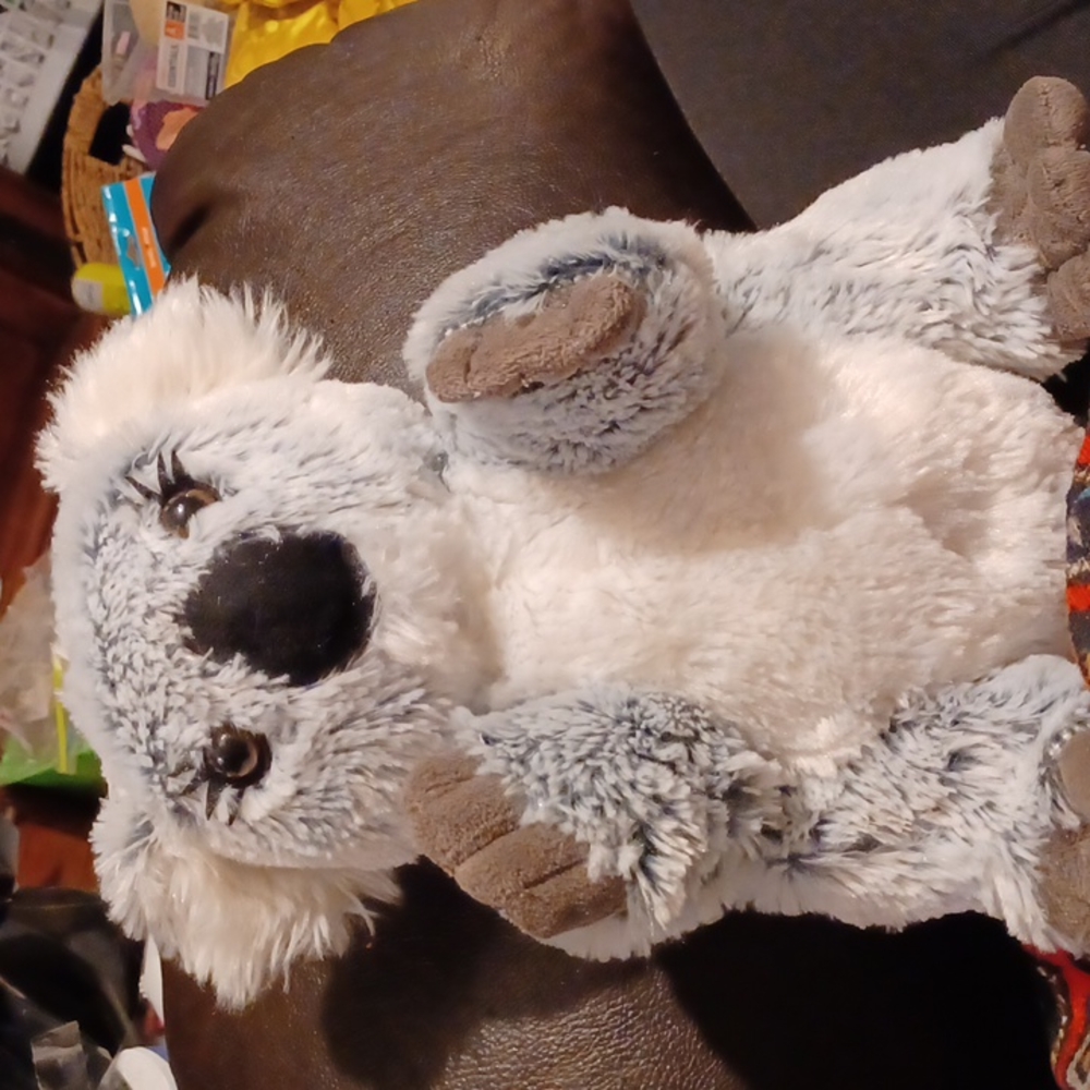 Unipak plush Koala Bear about 10 inches tall